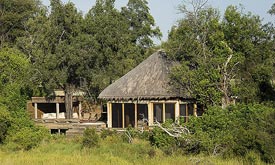 Vumbura Plains Camp
